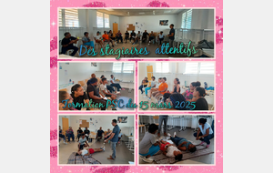 Formation Premiers Secours Citoyen